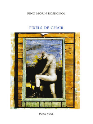cover image of Pixels de chair